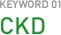 KEYWORD01 CKD