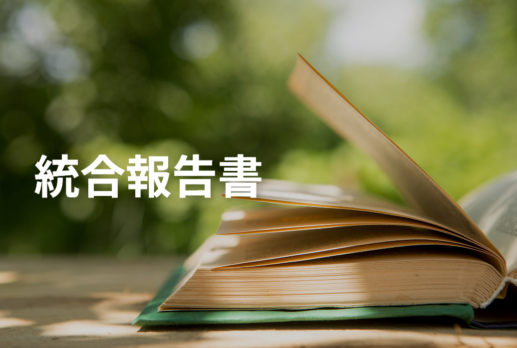 統合報告書