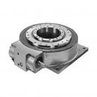 Roller gear cam unit Flat type