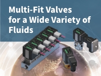 Multi-Fit Valve